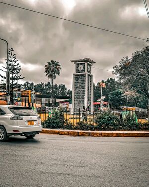 A picture of Arusha City