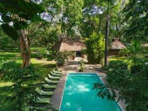 an overview of the hotels in arusha