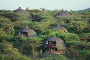 some of lodges in serengeti park