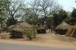 Mfuwe region in Zambia