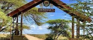 Serengeti National Park in tanzania